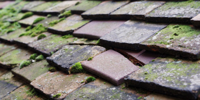 Worle roof repair costs